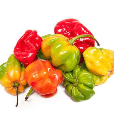 6 - piment antillais